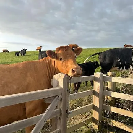 Moon Cottage, 3 Bedroom Cleator