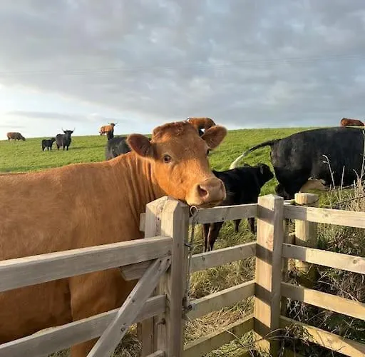 Moon Cottage, 3 Bedroom Cleator